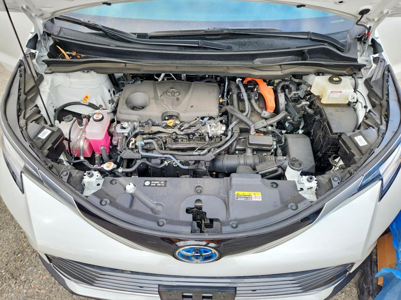 2025 TOYOTA SIENNA
