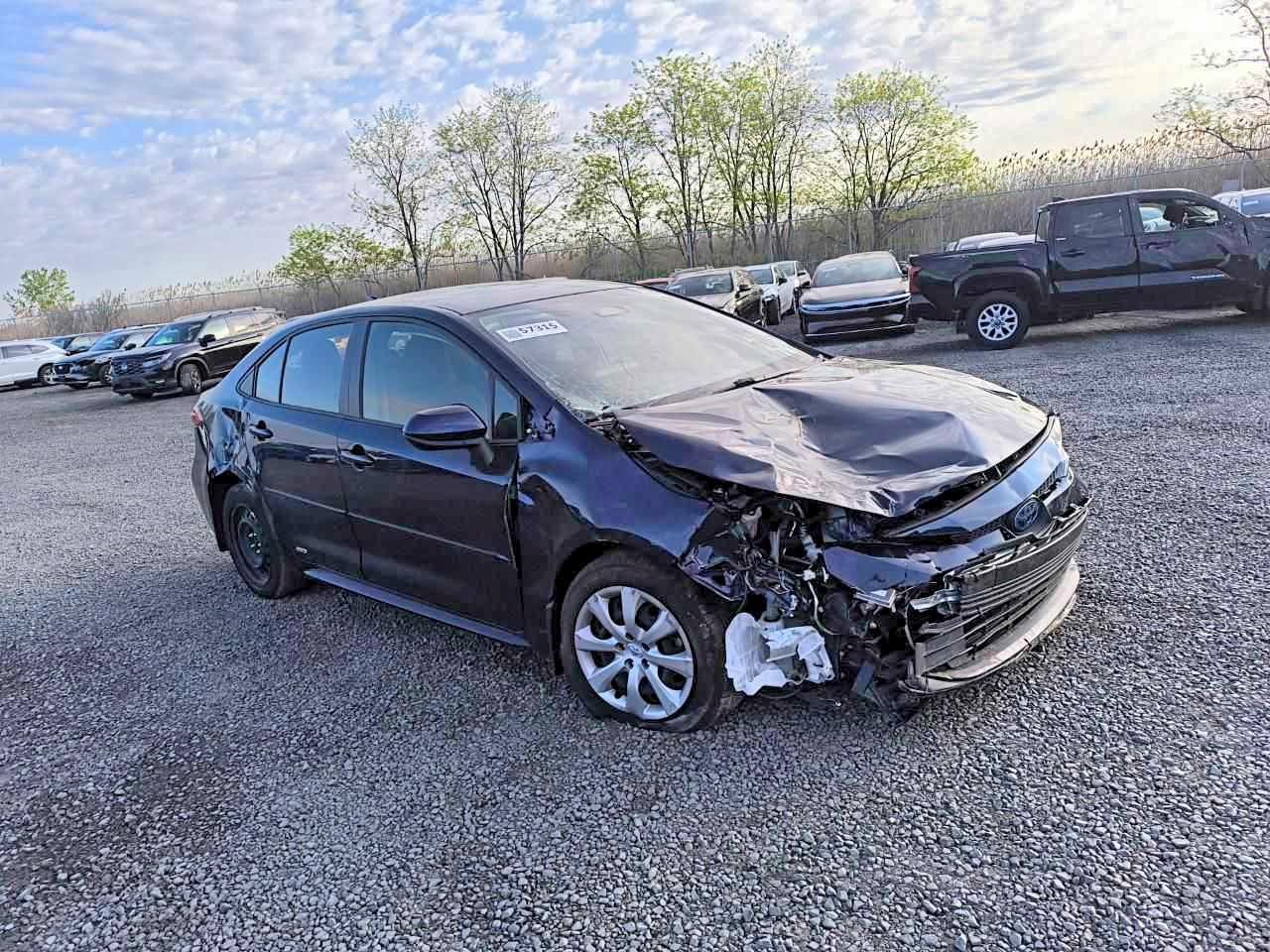 2024 TOYOTA COROLLA