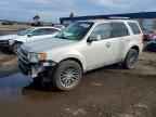 2009 FORD ESCAPE