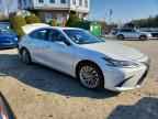 2019 LEXUS ES 300H