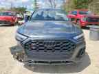 2024 AUDI SQ5