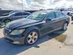 2008 LEXUS LS 460