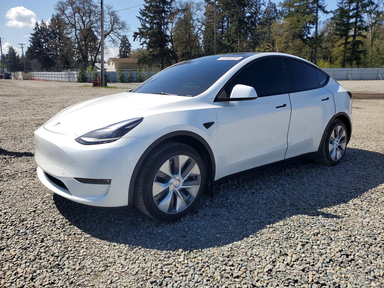 2024 TESLA MODEL Y