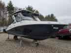 2024 Crown Boat