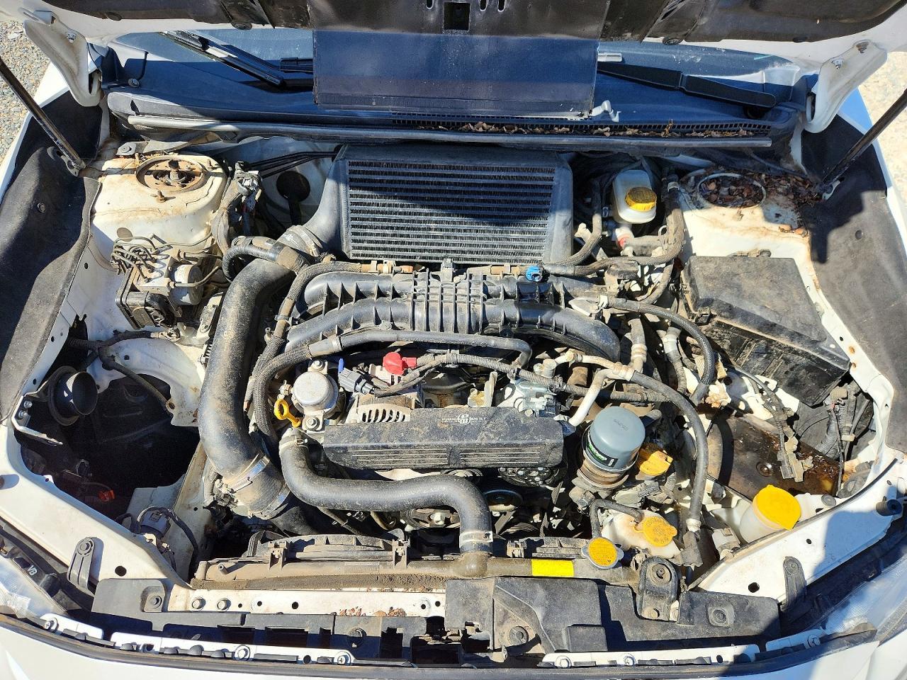 2019 SUBARU WRX