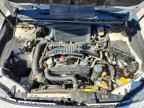 2019 SUBARU WRX