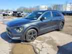 2025 KIA Niro
