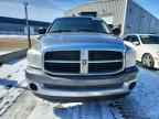 2007 DODGE RAM 1500