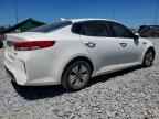 2017 KIA Optima Hybrid