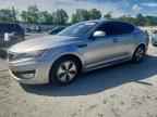 2013 KIA Optima Hybrid