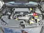 2025 SUBARU WRX