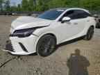 2024 LEXUS RX 350