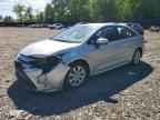 2024 STERLING Corolla