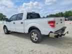 2010 FORD F-150 Lightning