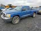2005 DODGE Dakota