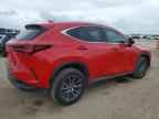 2024 LEXUS NX 250