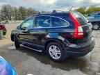 2010 HONDA CR-V