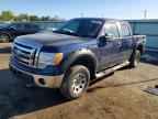 2009 FORD F-150 Lightning