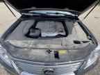 2009 LEXUS LX 570