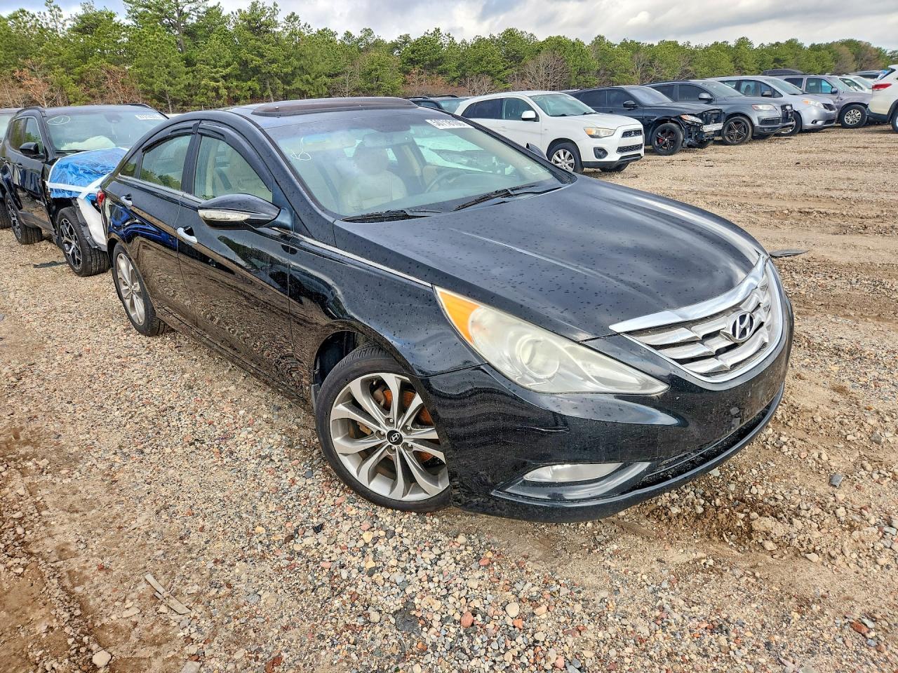 2013 HYUNDAI SONATA