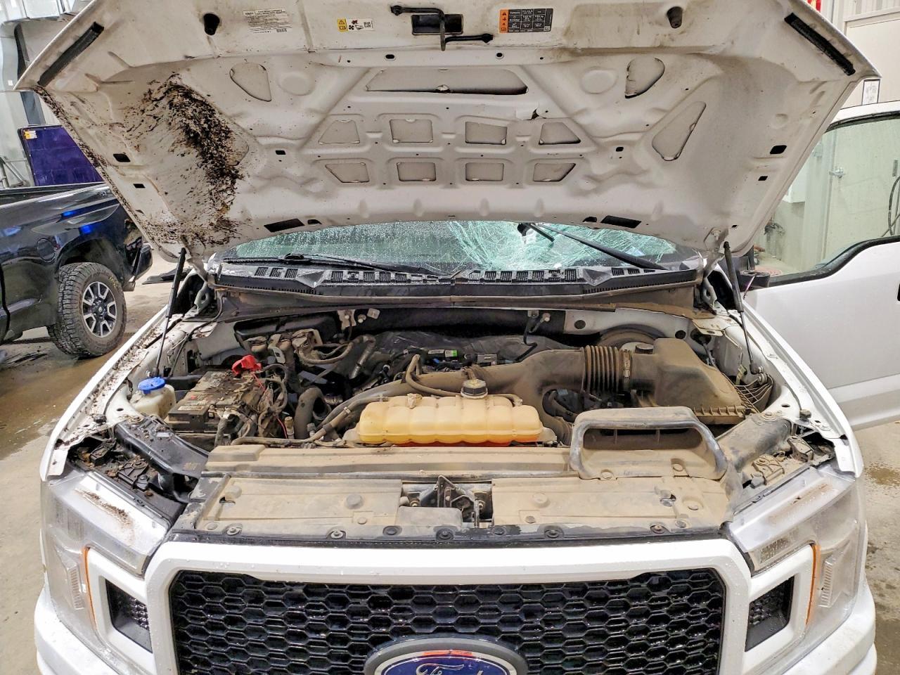 2019 FORD F-150 Lightning