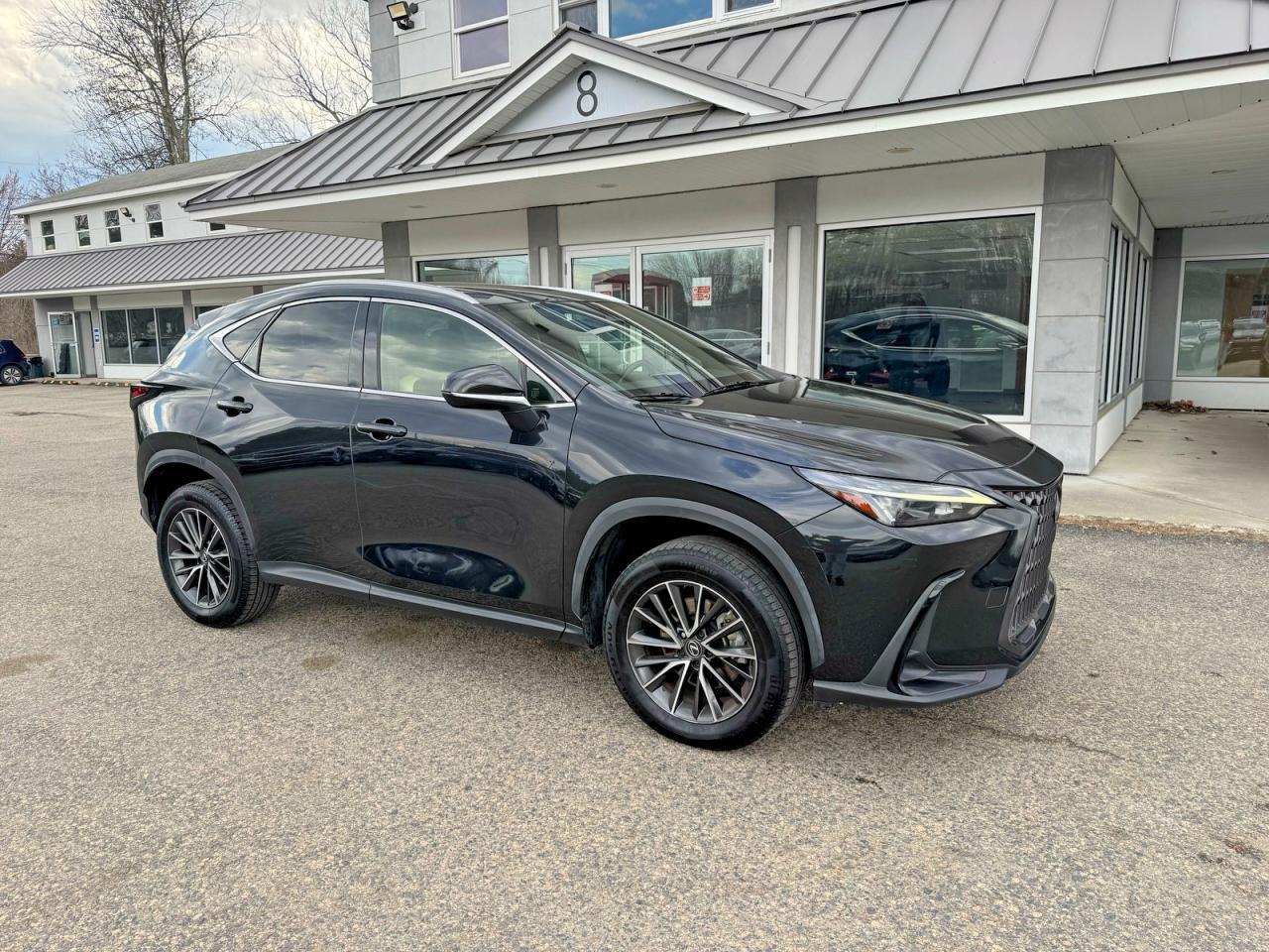 2022 LEXUS NX 250