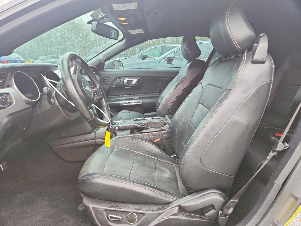 2019 FORD MUSTANG