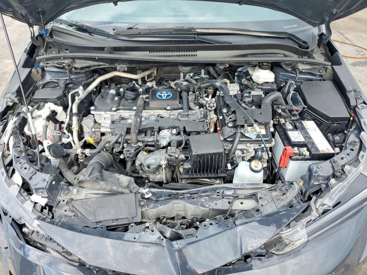 2024 TOYOTA COROLLA