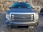 2013 FORD F-150 Lightning