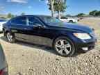 2010 LEXUS LS 460