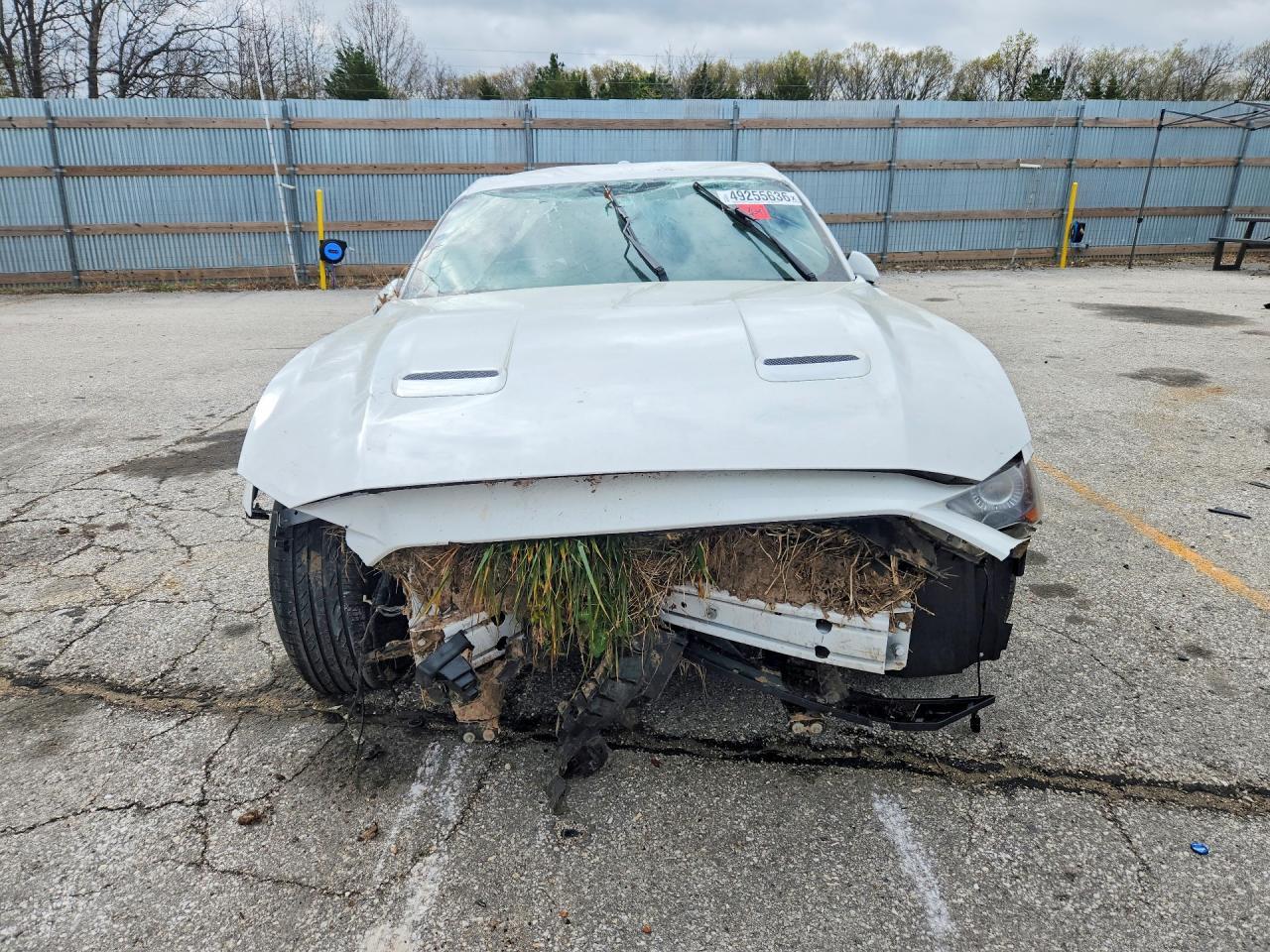 2019 FORD MUSTANG