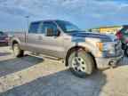 2013 FORD F-150 Lightning
