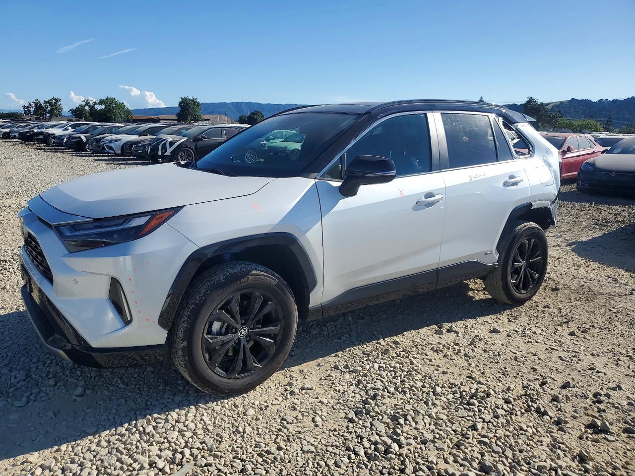 2024 TOYOTA RAV4