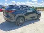 2025 LEXUS NX 250