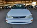 1995 TOYOTA COROLLA