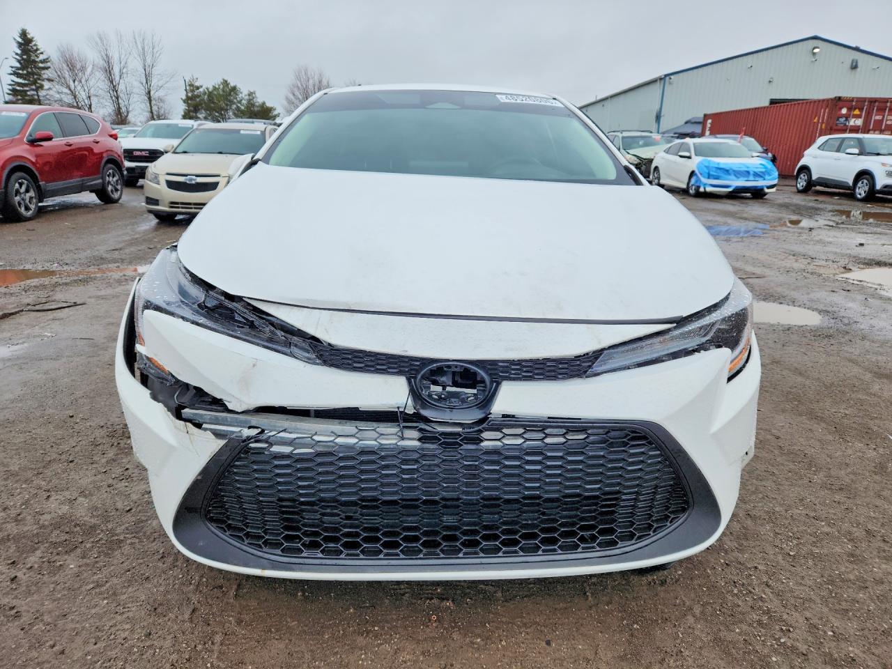 2023 TOYOTA COROLLA