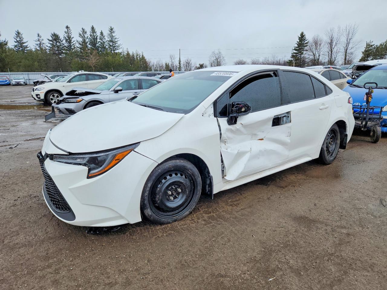 2023 TOYOTA COROLLA