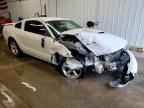 2008 FORD MUSTANG