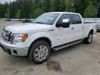 2011 FORD F-150 Lightning