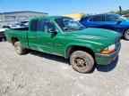 1997 DODGE Dakota