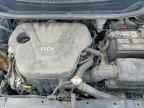 2013 KIA RIO