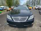 2007 LEXUS LS 460