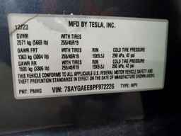 2023 TESLA Mdl Y