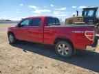 2010 FORD F-150 Lightning