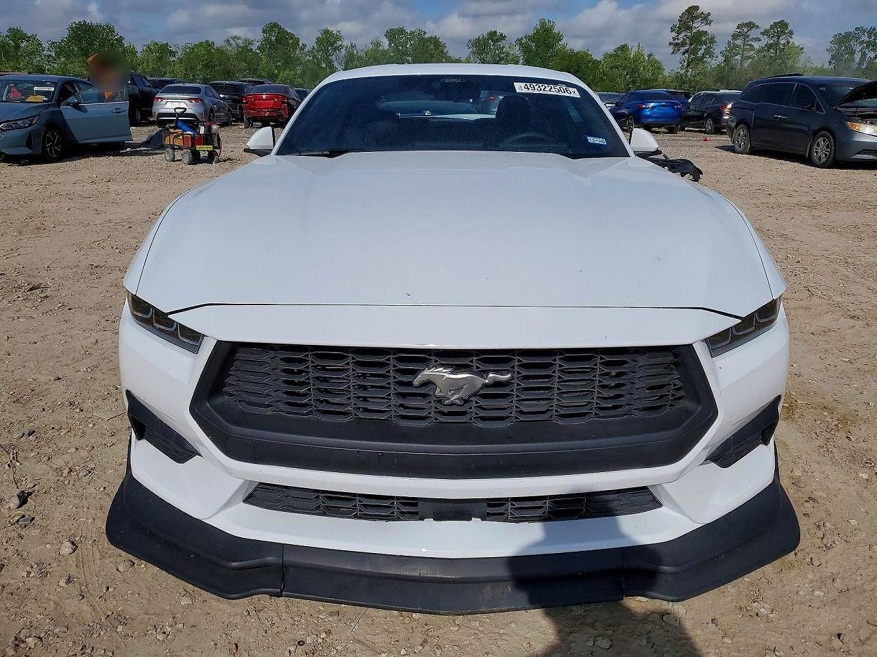 2025 FORD MUSTANG