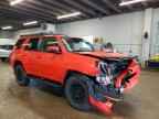 2024 TOYOTA 4Runner