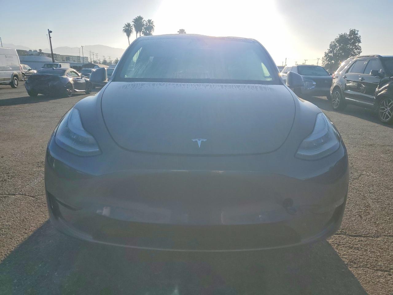 2020 TESLA MODEL Y