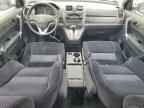 2009 HONDA CR-V
