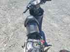 2023 Boom Moped