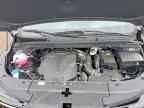2026 KIA Carnival